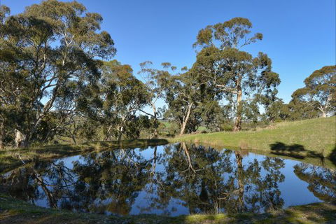 A Seascape Retreat - Maitland Accommodation 9